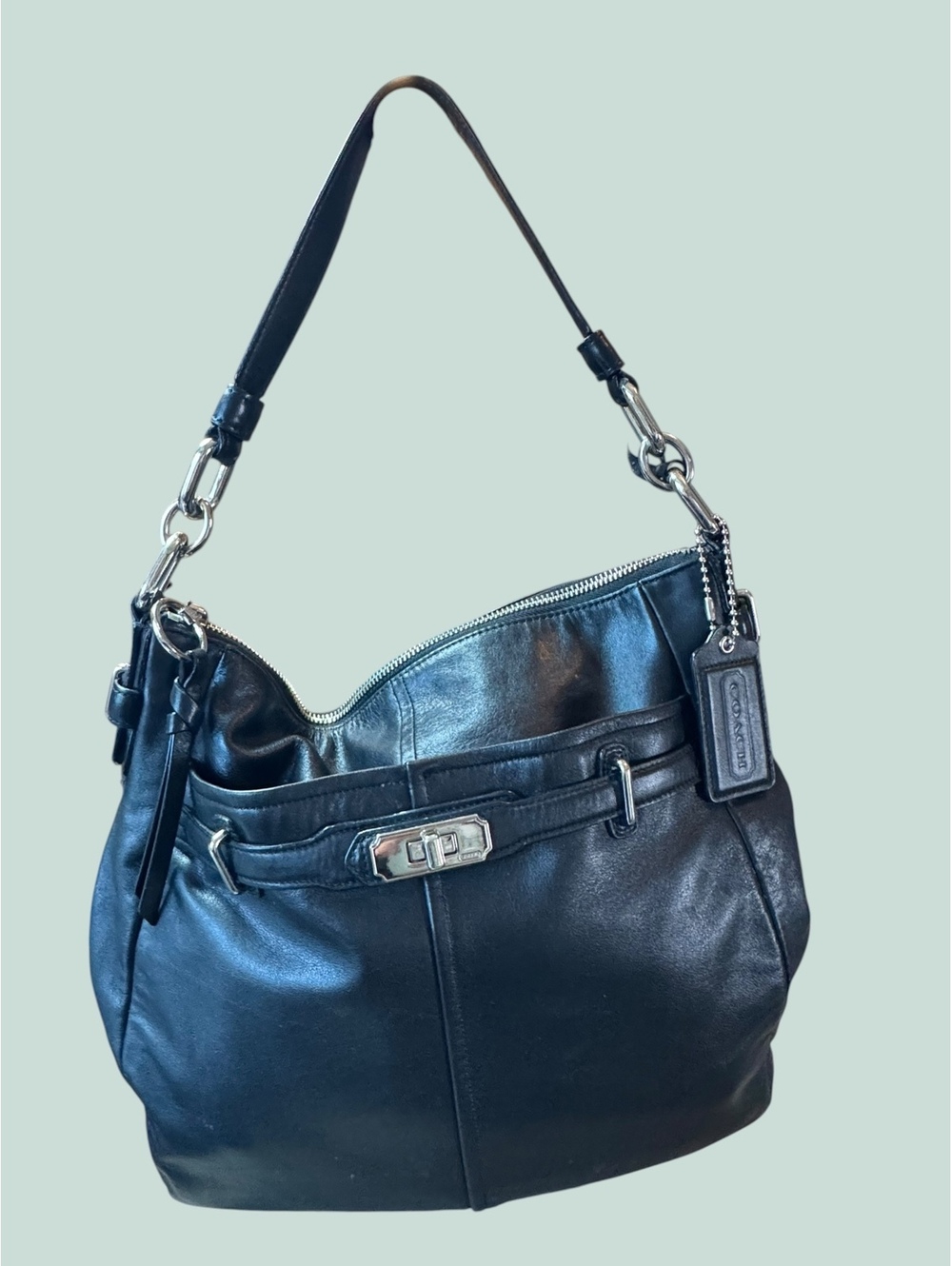 Coach Ashlyn Chelsea Black Leather Hobo F17816